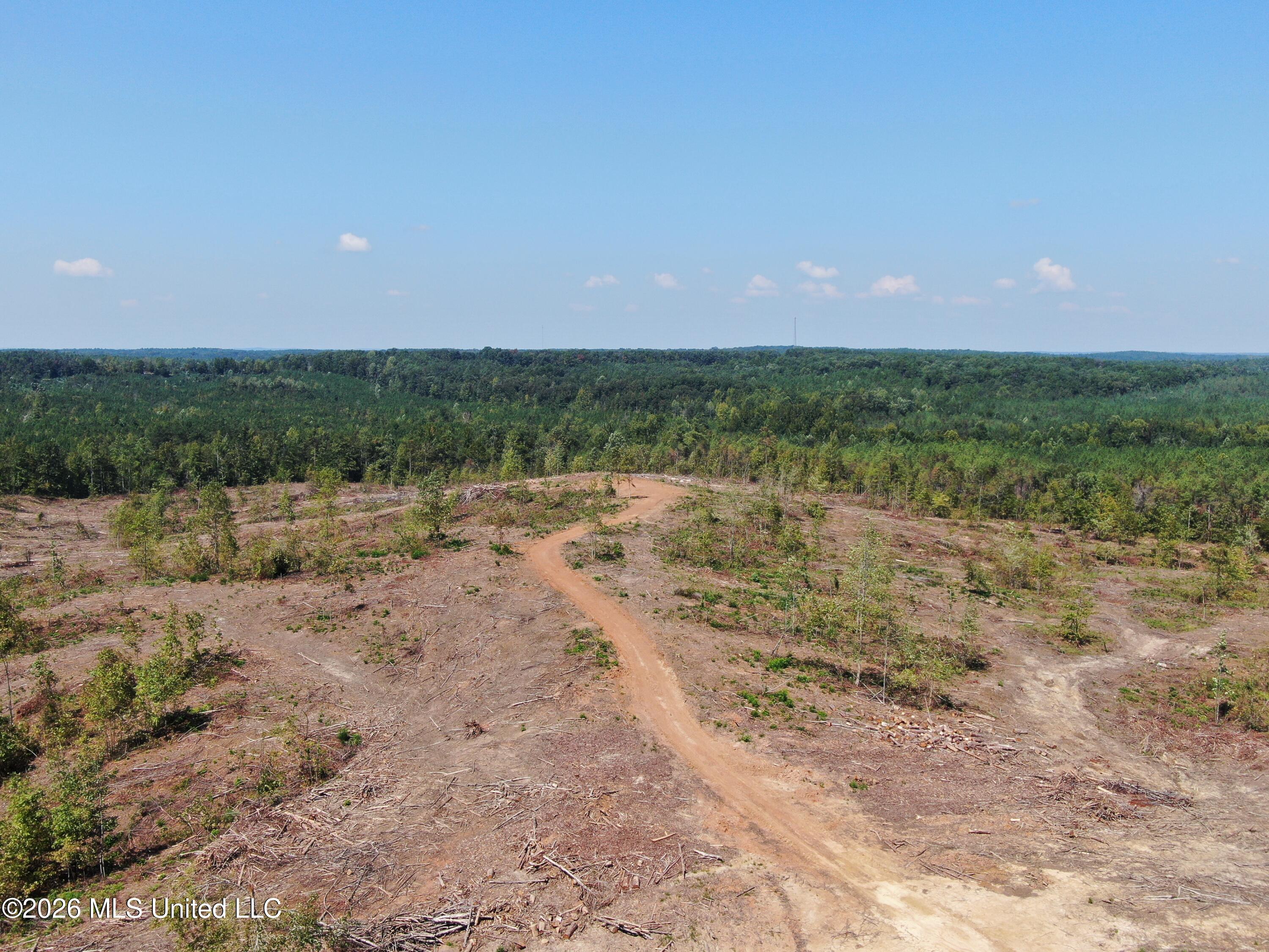 350 Baumann Road Property Photo 22