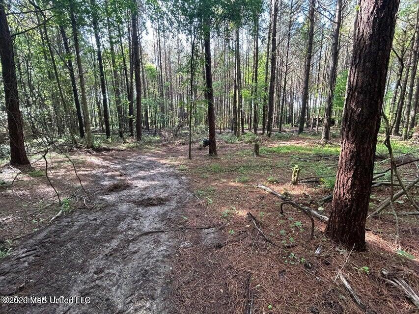 Attala Rd 2247 Property Photo 6