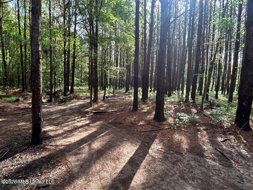 Attala Rd 2247 Property Photo 8