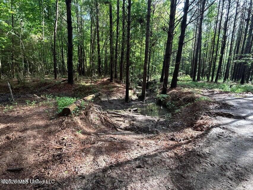 Attala Rd 2247 Property Photo 9