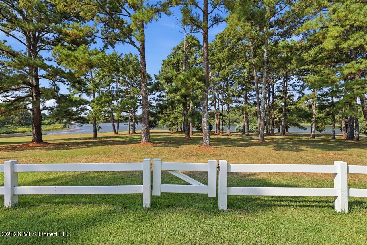 1039 Cedar Hill Road Property Photo 84