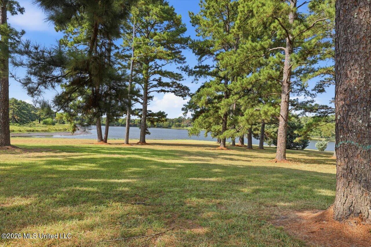 1039 Cedar Hill Road Property Photo 87