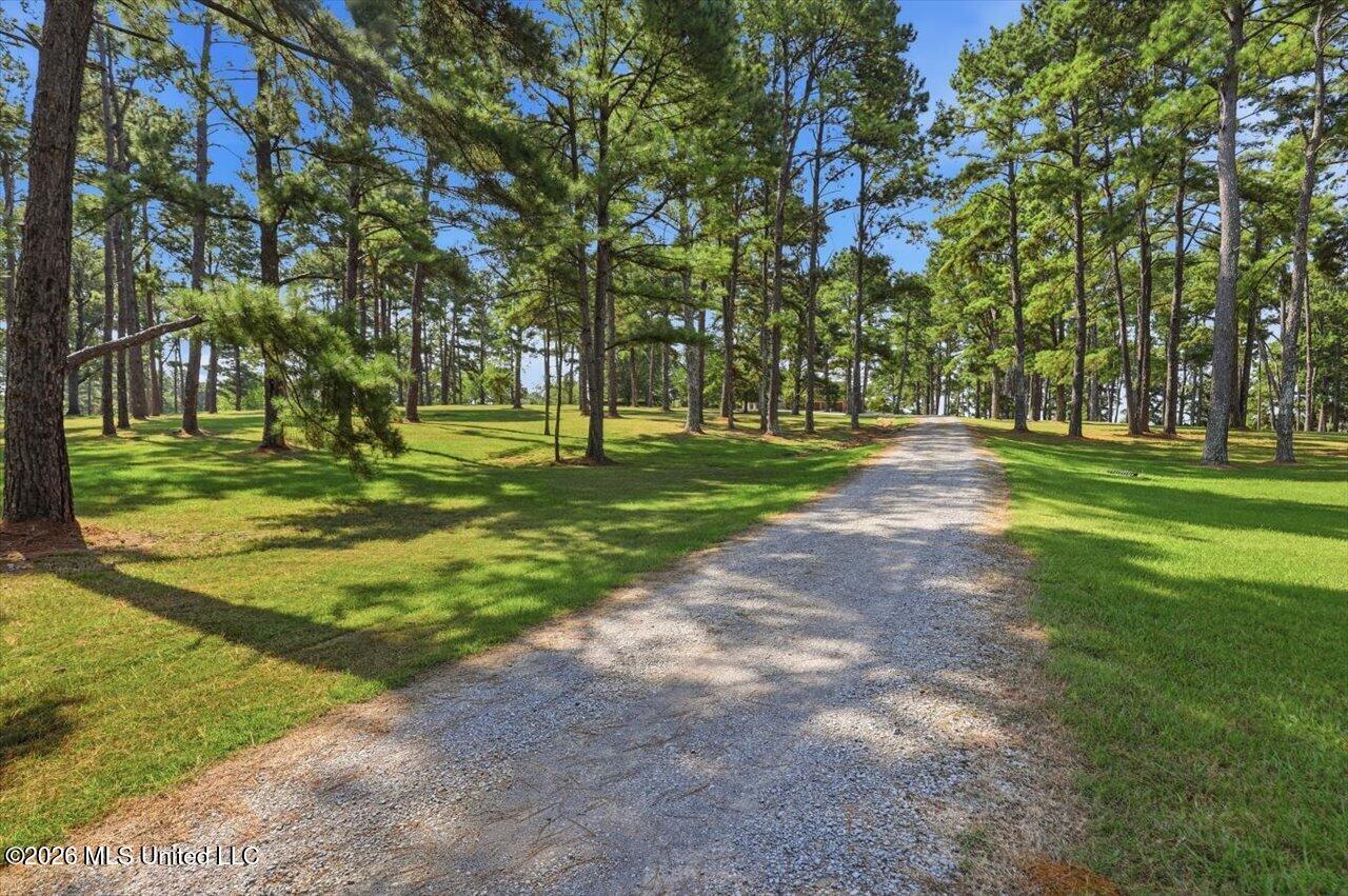 1039 Cedar Hill Road Property Photo 100