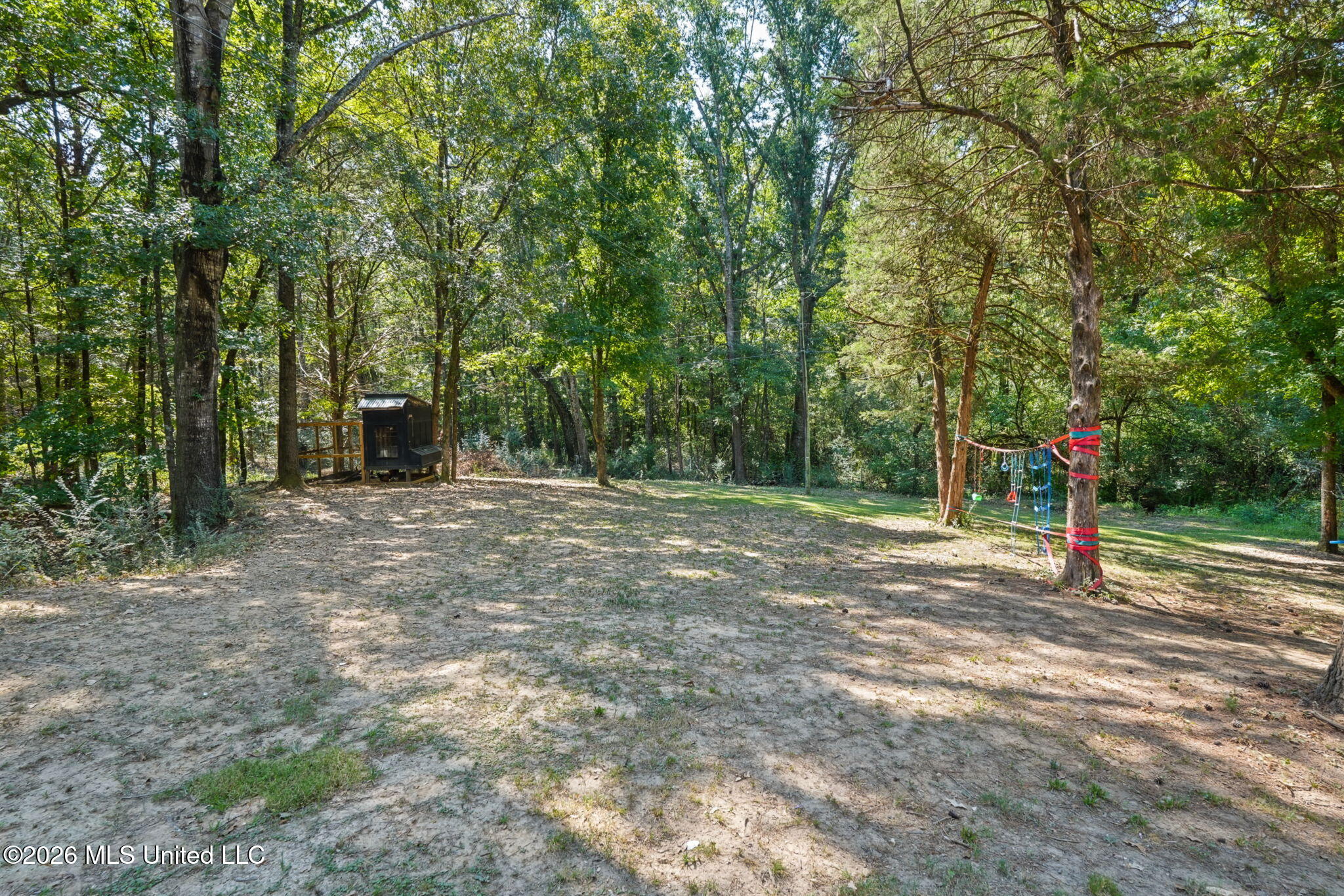 11565 Miller Road Property Photo 33