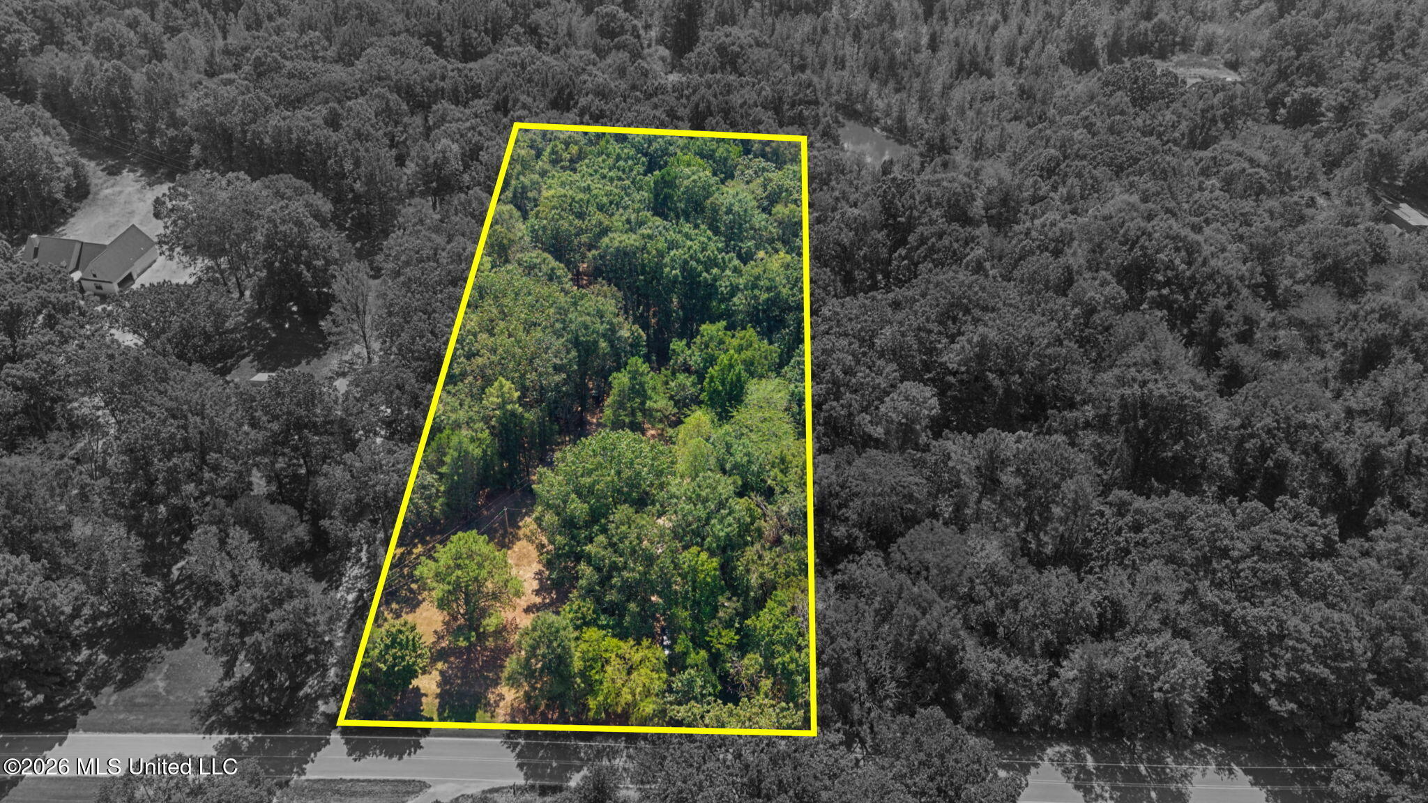 11565 Miller Road Property Photo 41
