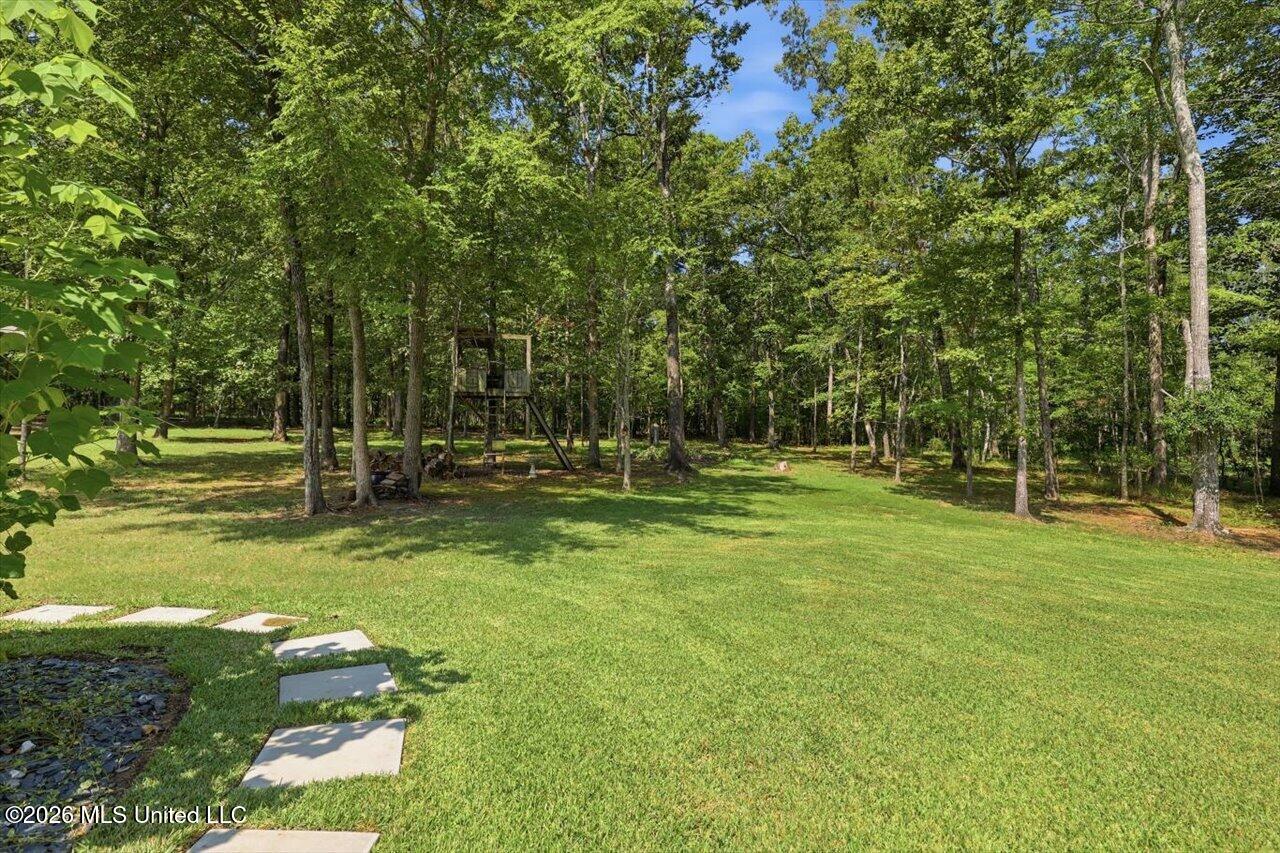 116 Virginia Valley Drive Property Photo 59