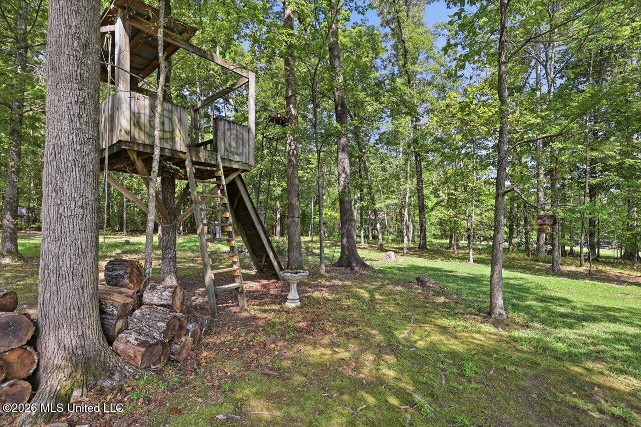 116 Virginia Valley Drive Property Photo 60