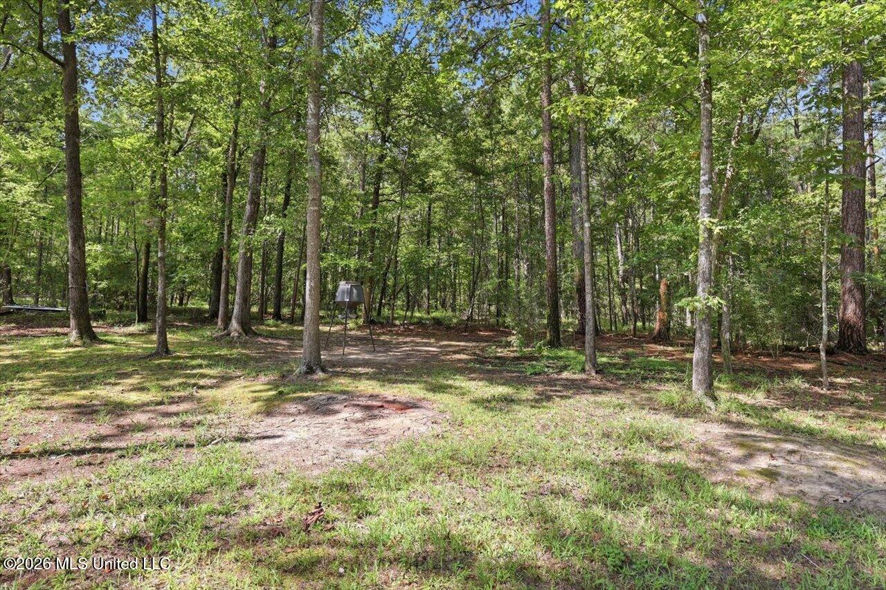 116 Virginia Valley Drive Property Photo 62