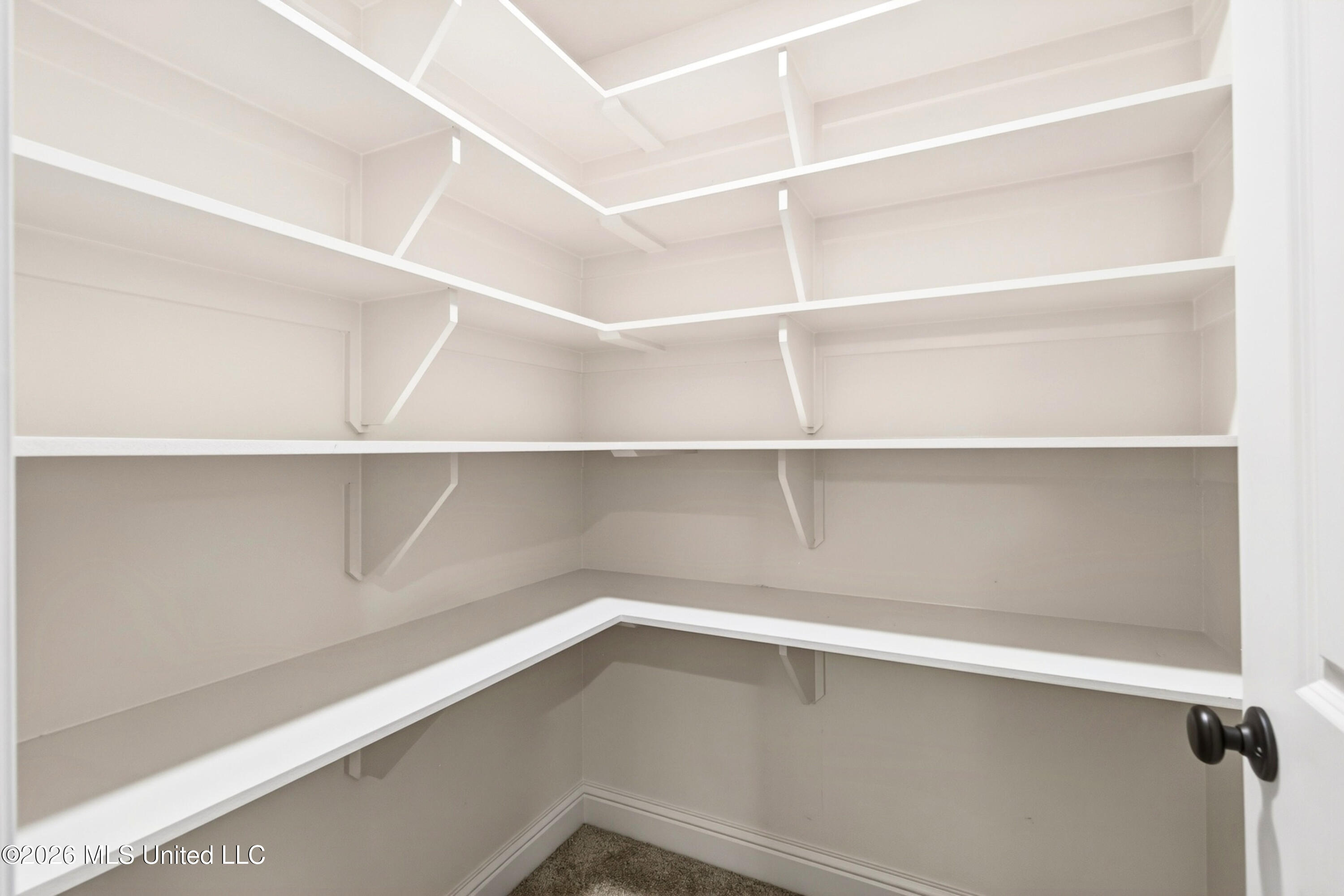 11816 Smokey Court Property Photo 38
