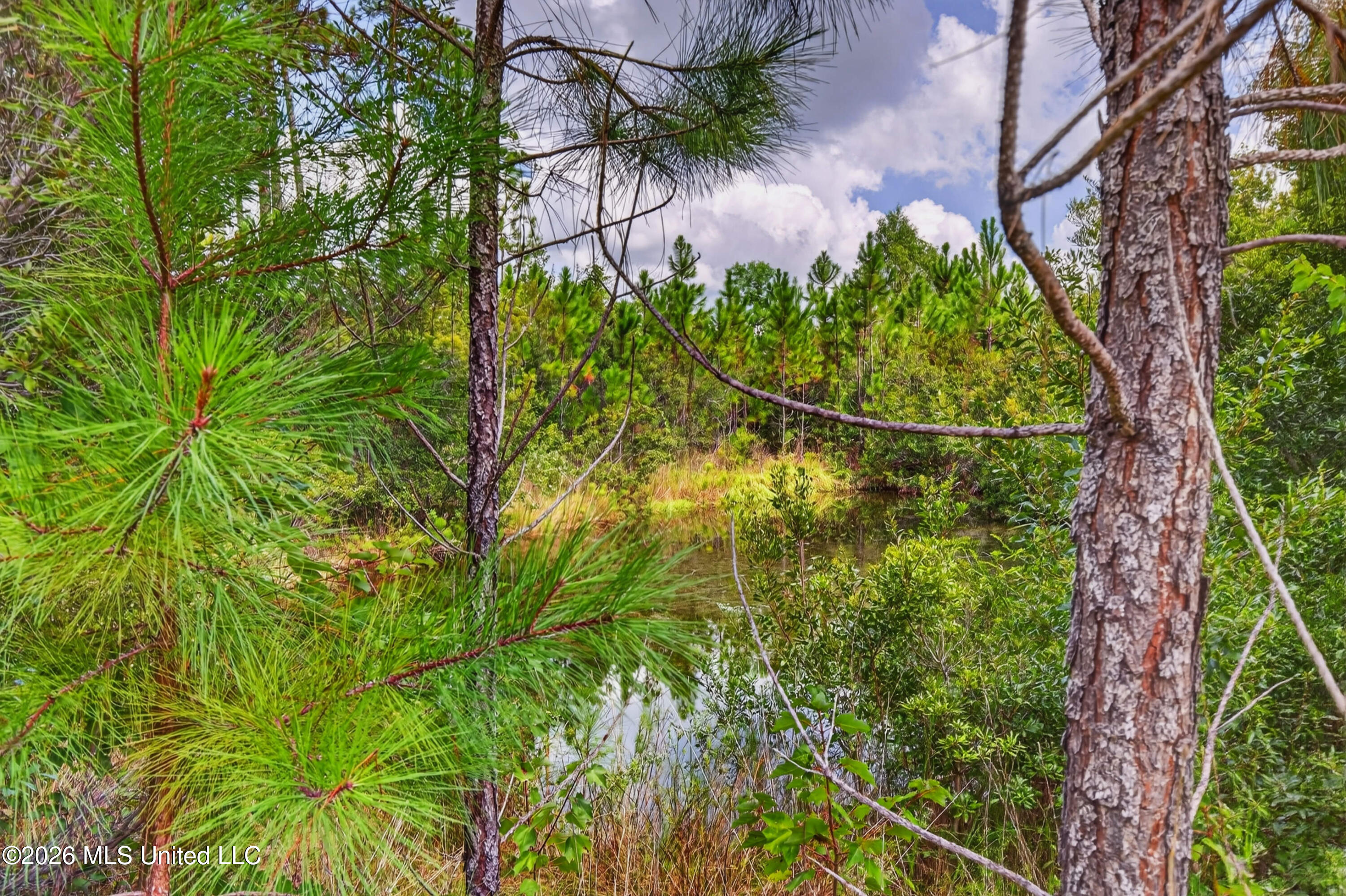 11816 Smokey Court Property Photo 46
