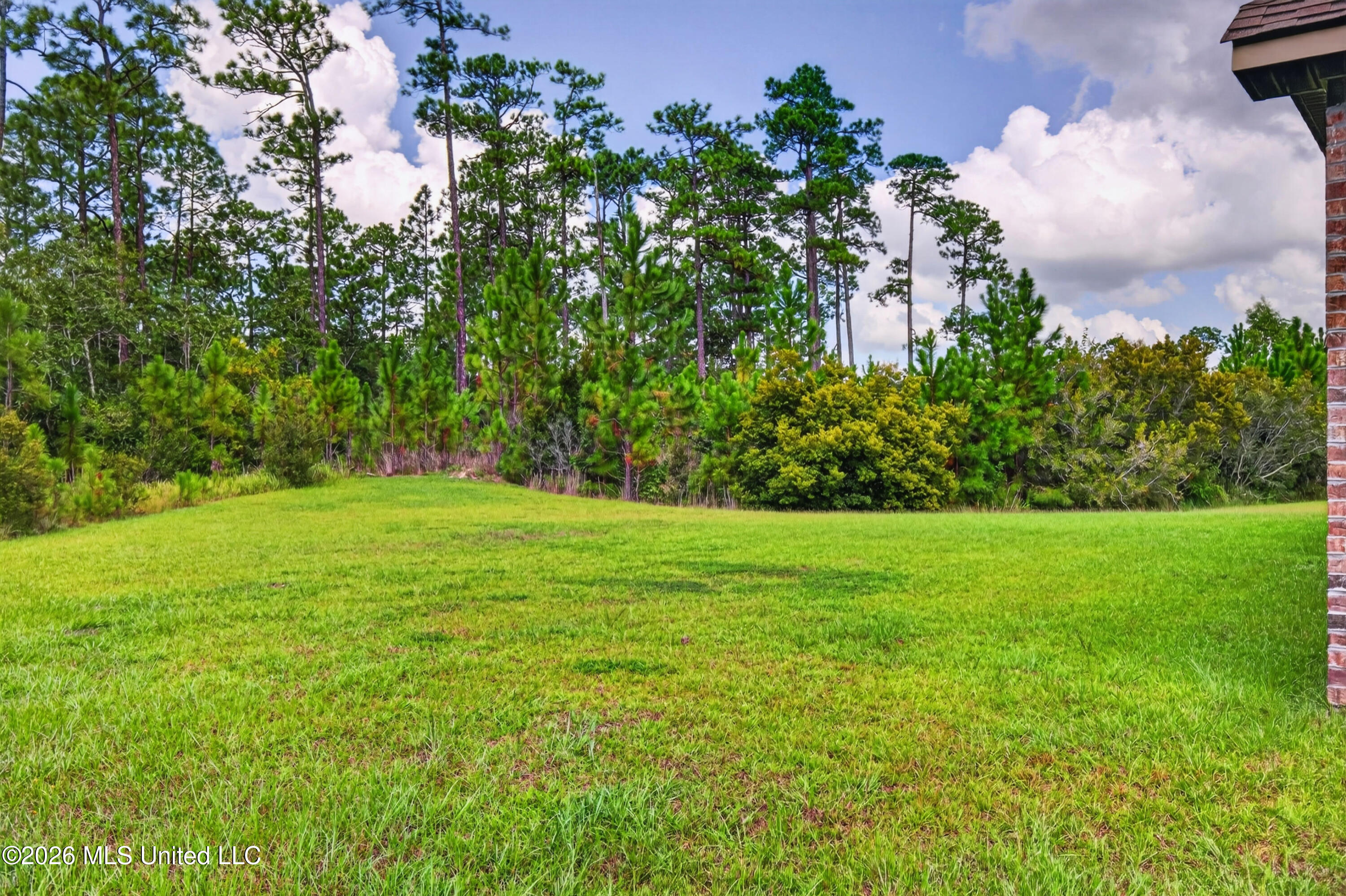 11816 Smokey Court Property Photo 52