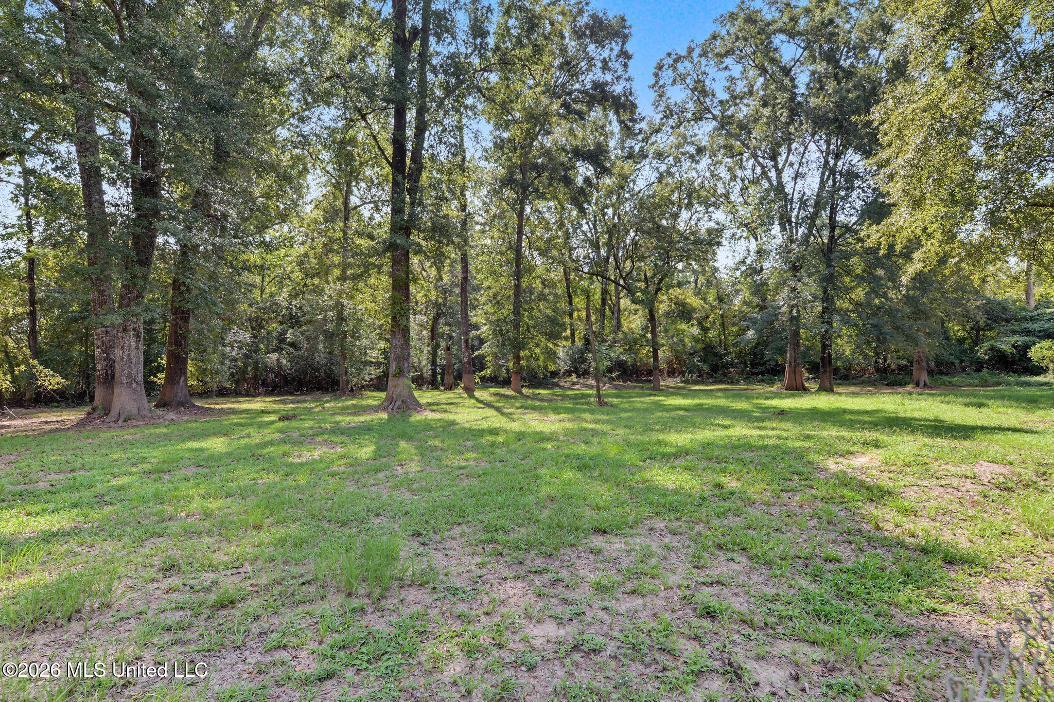 132 River Bend Road Property Photo 18