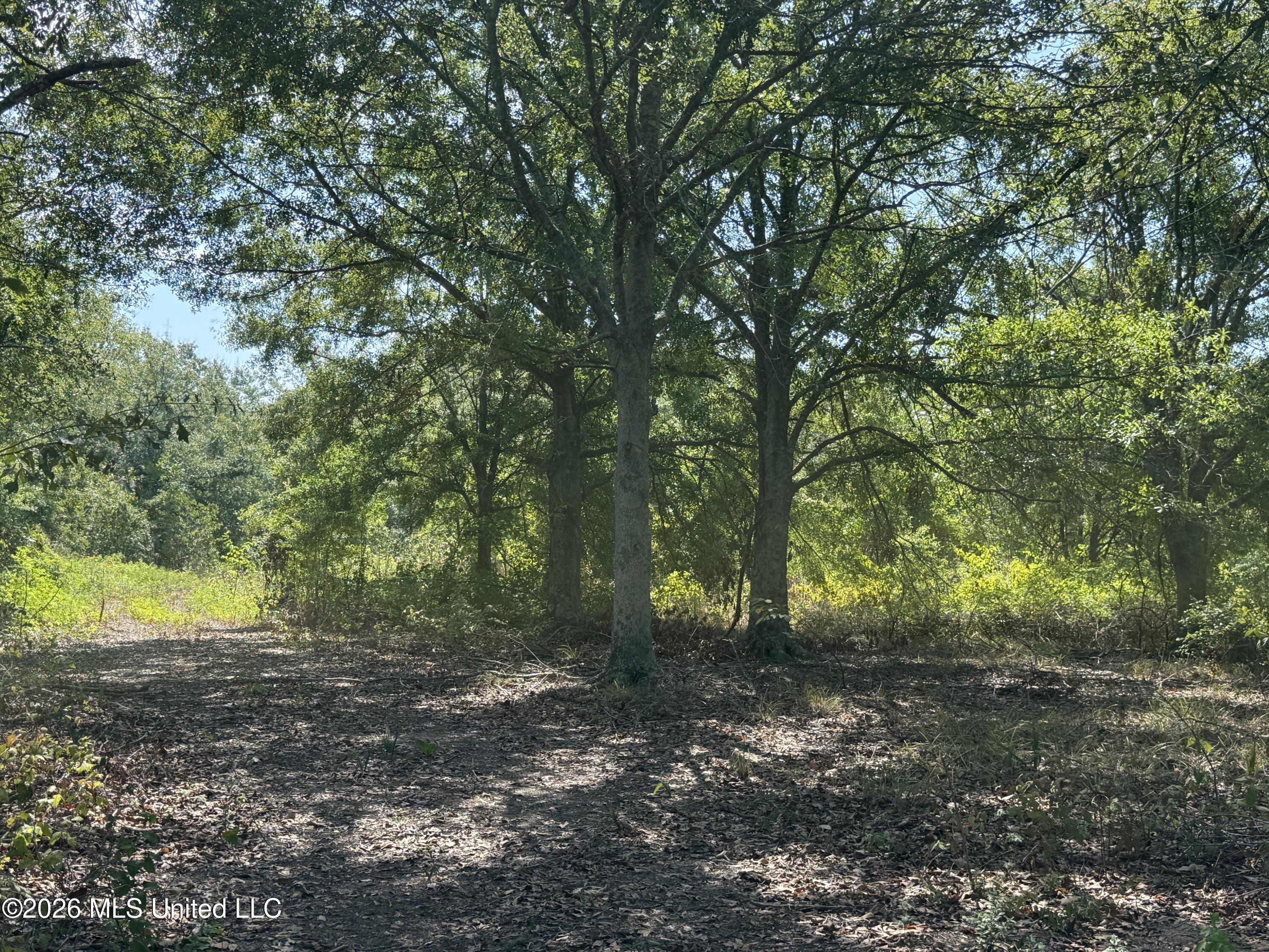 Cr 474 Property Photo 30