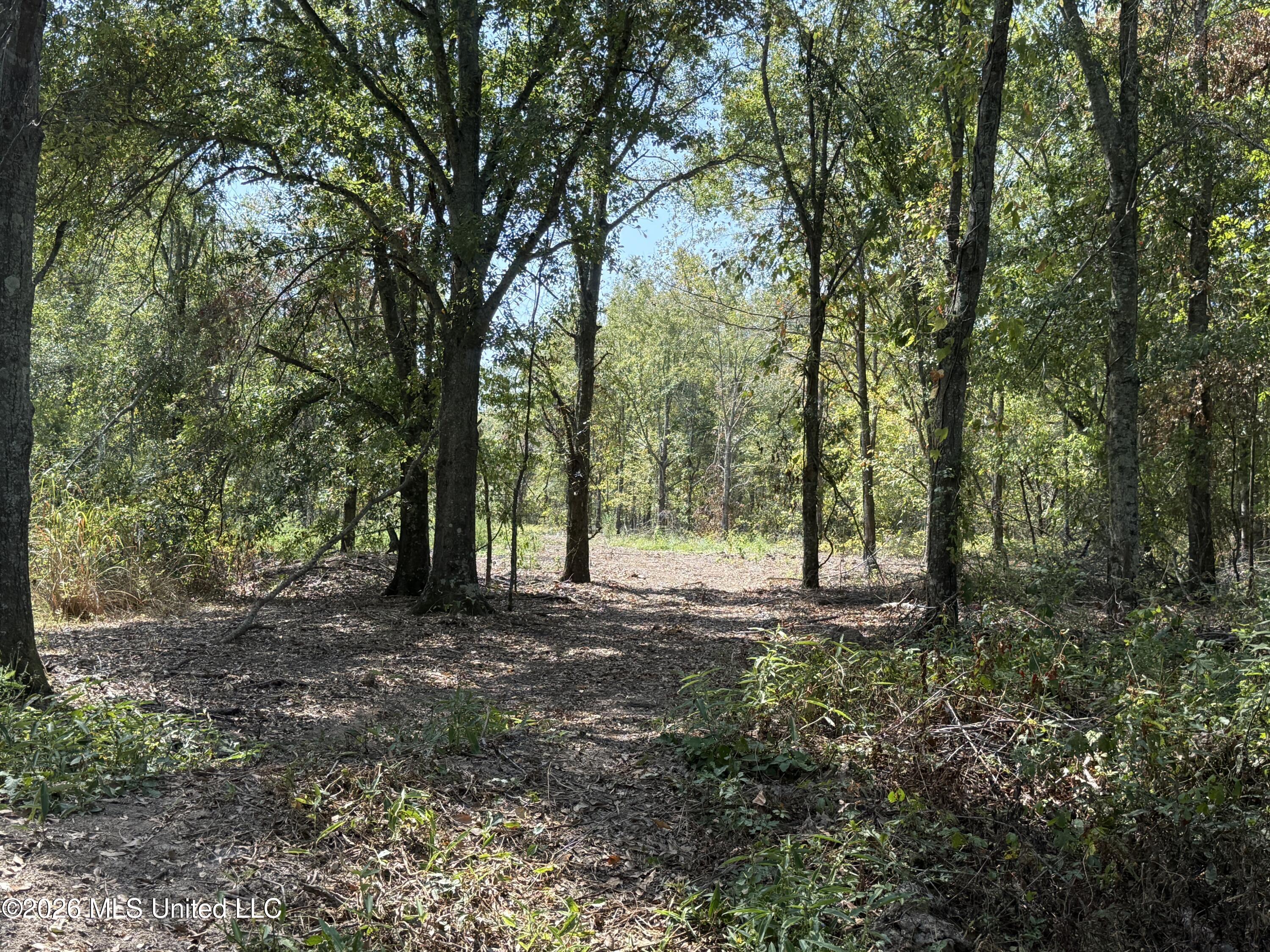 Cr 474 Property Photo 31