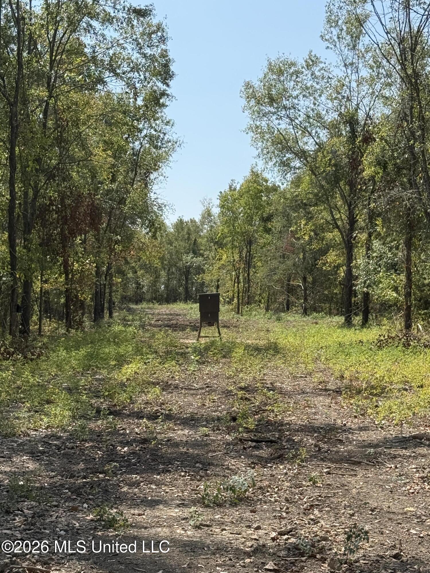 Cr 474 Property Photo 32
