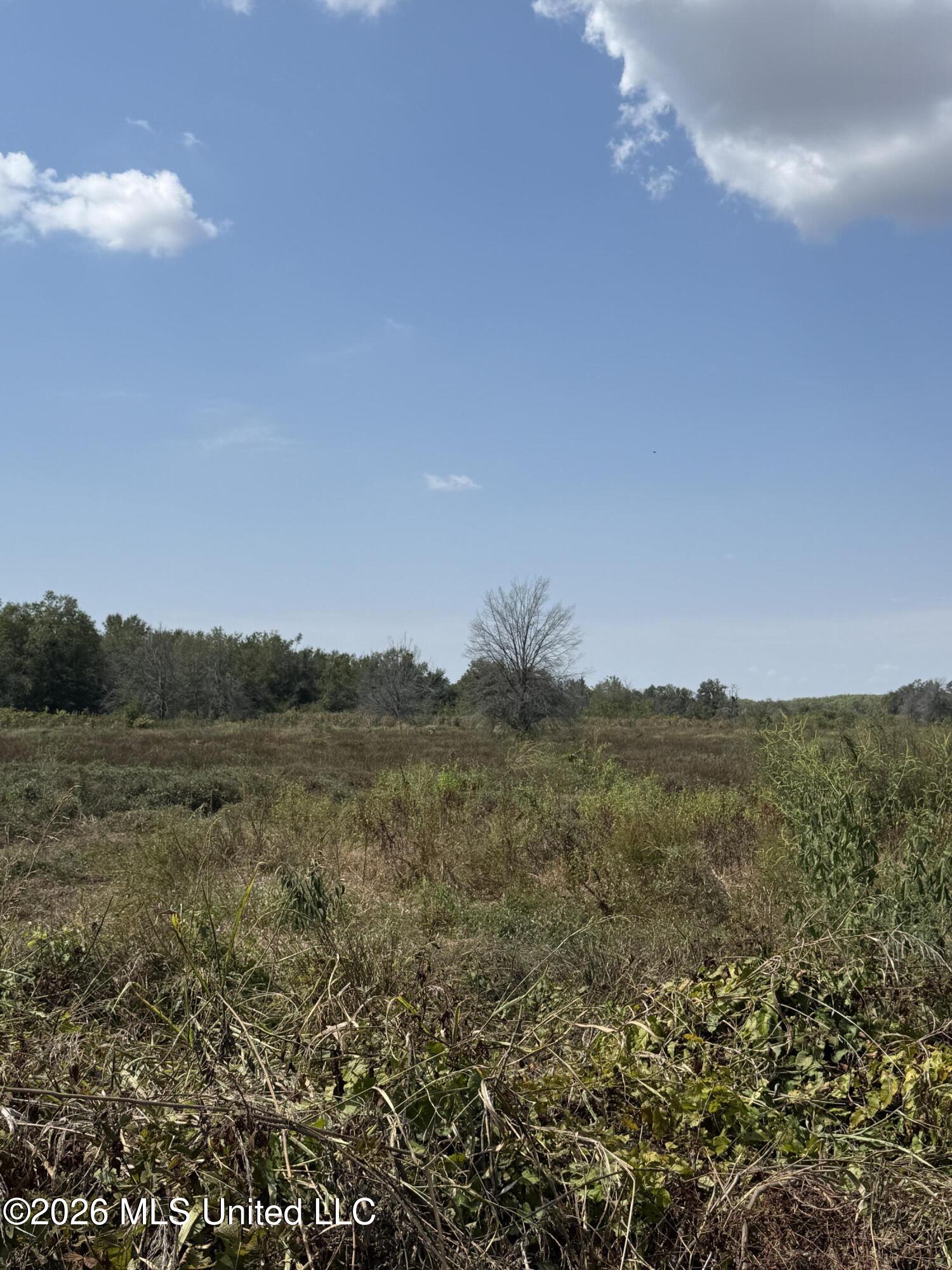 Cr 474 Property Photo 35