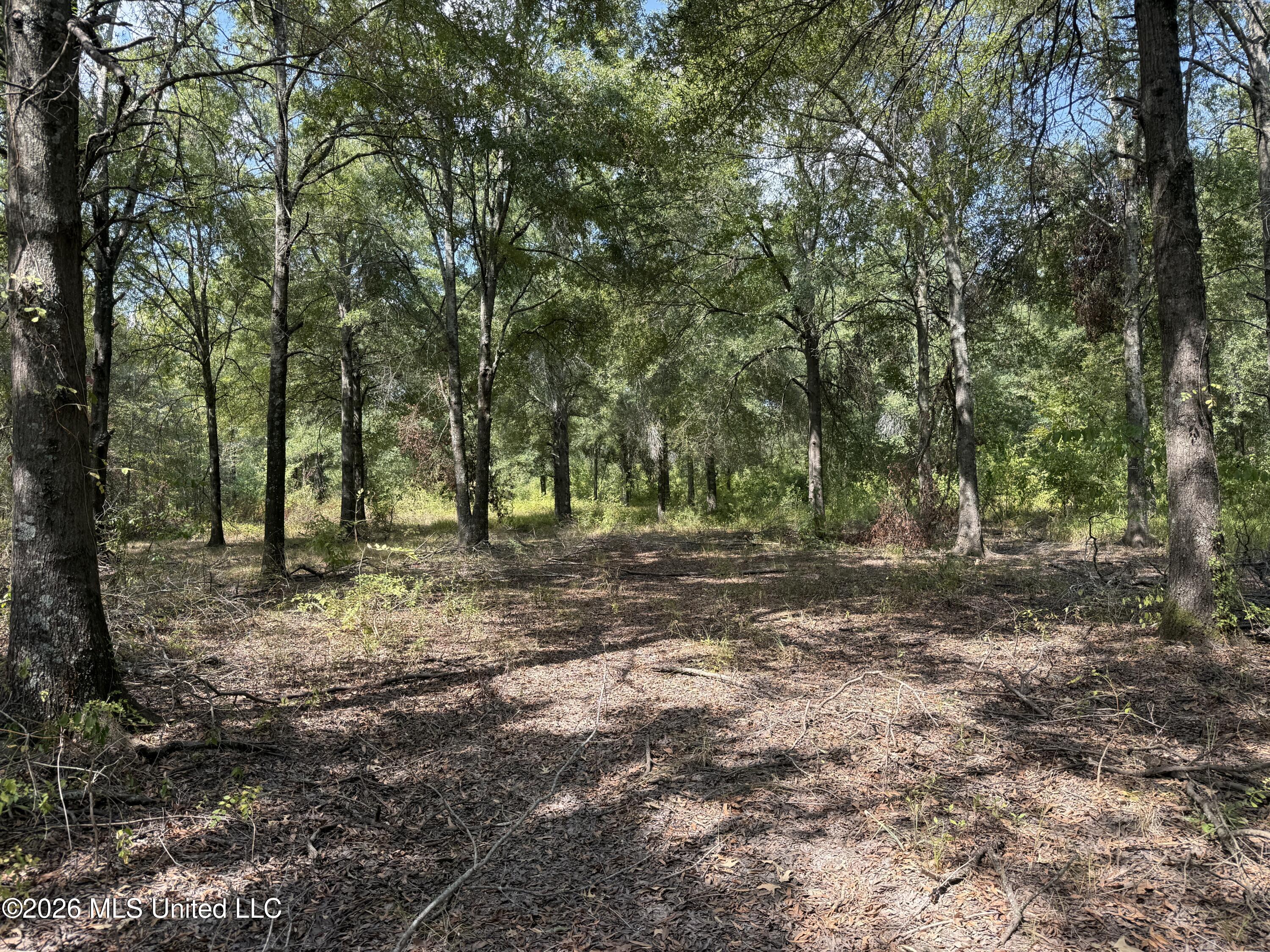 Cr 474 Property Photo 37