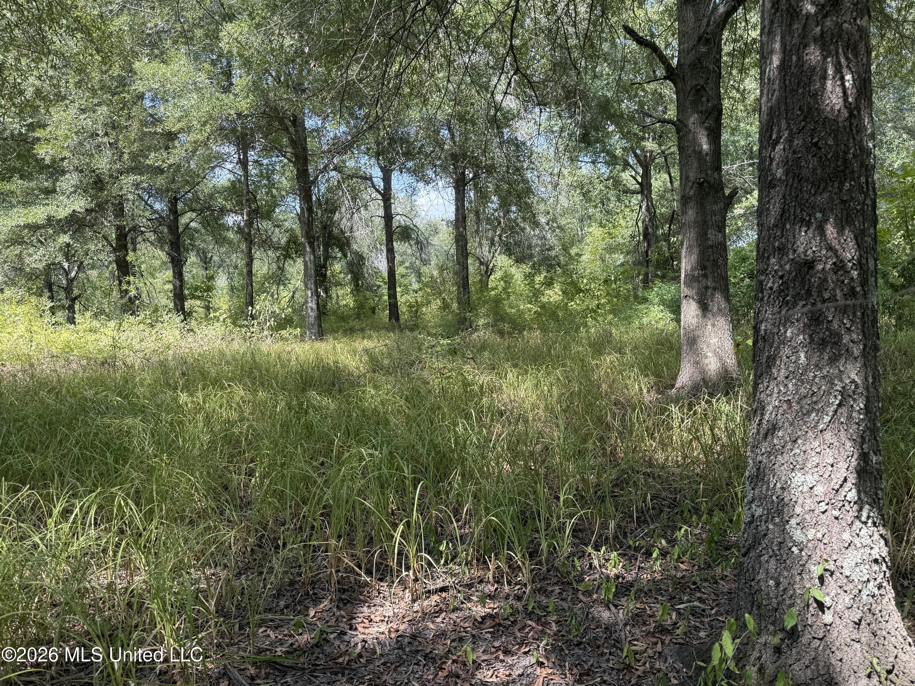Cr 474 Property Photo 38