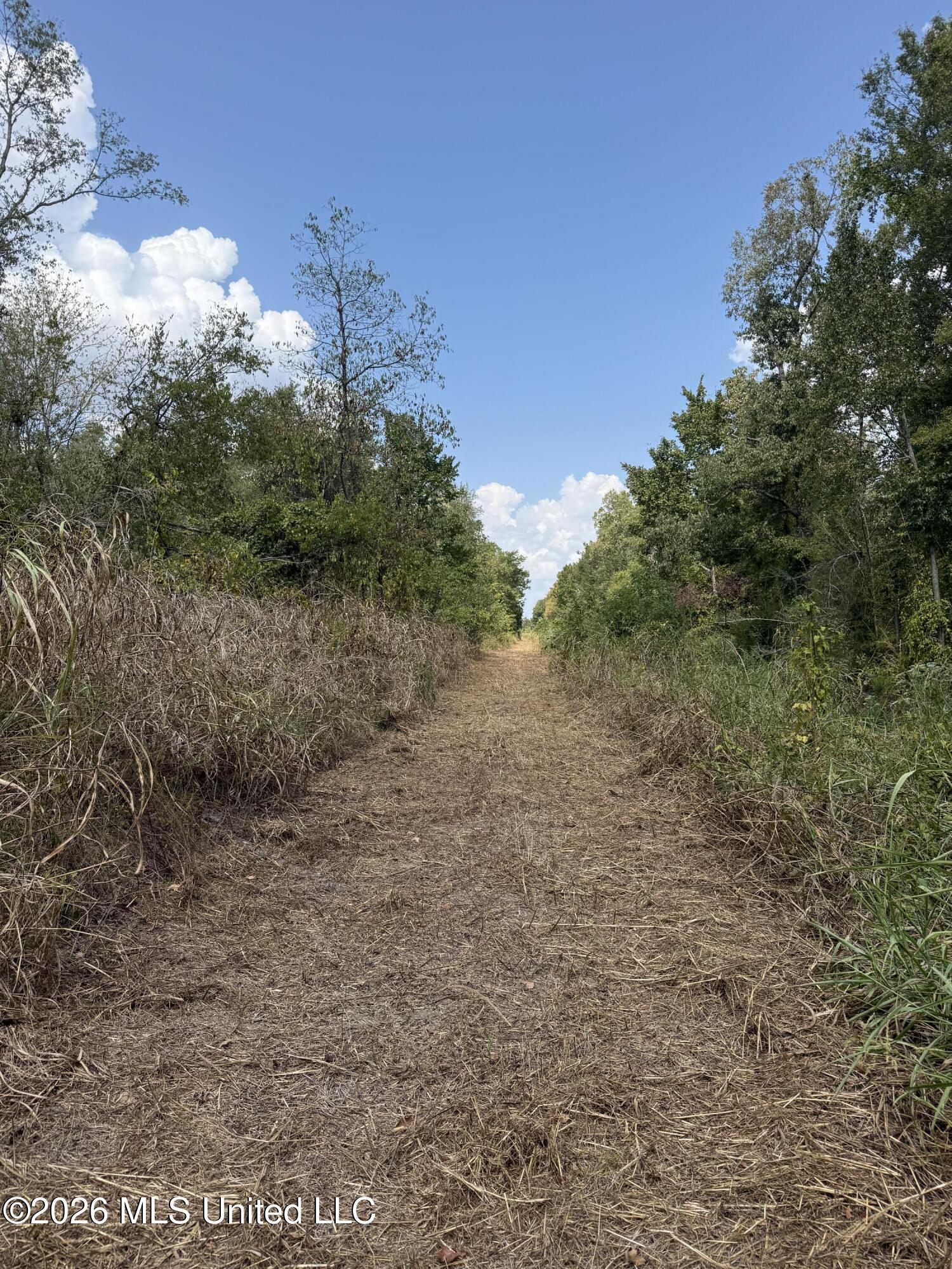 Cr 474 Property Photo 39