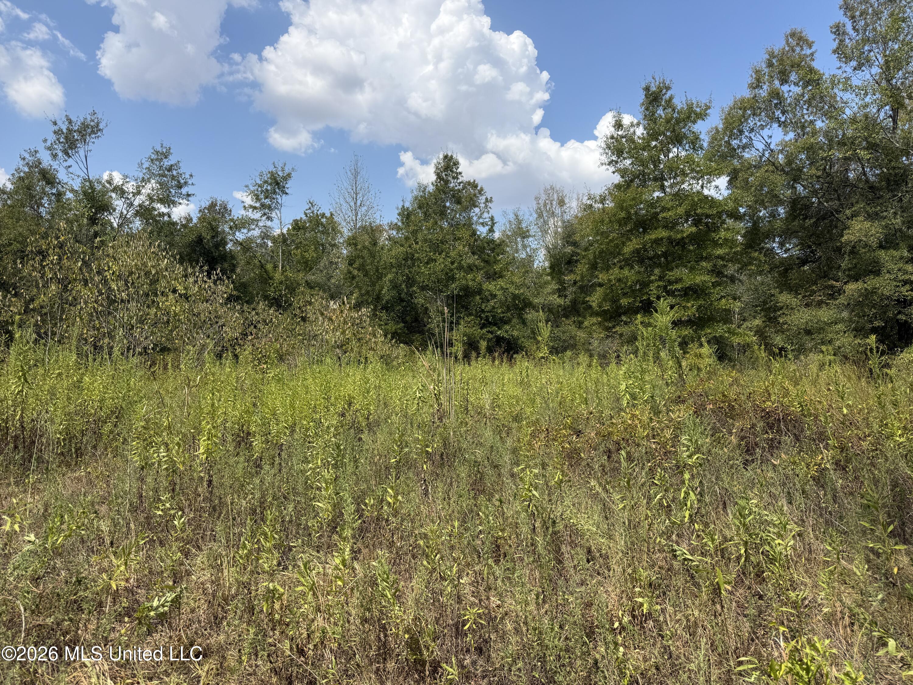 Cr 474 Property Photo 40