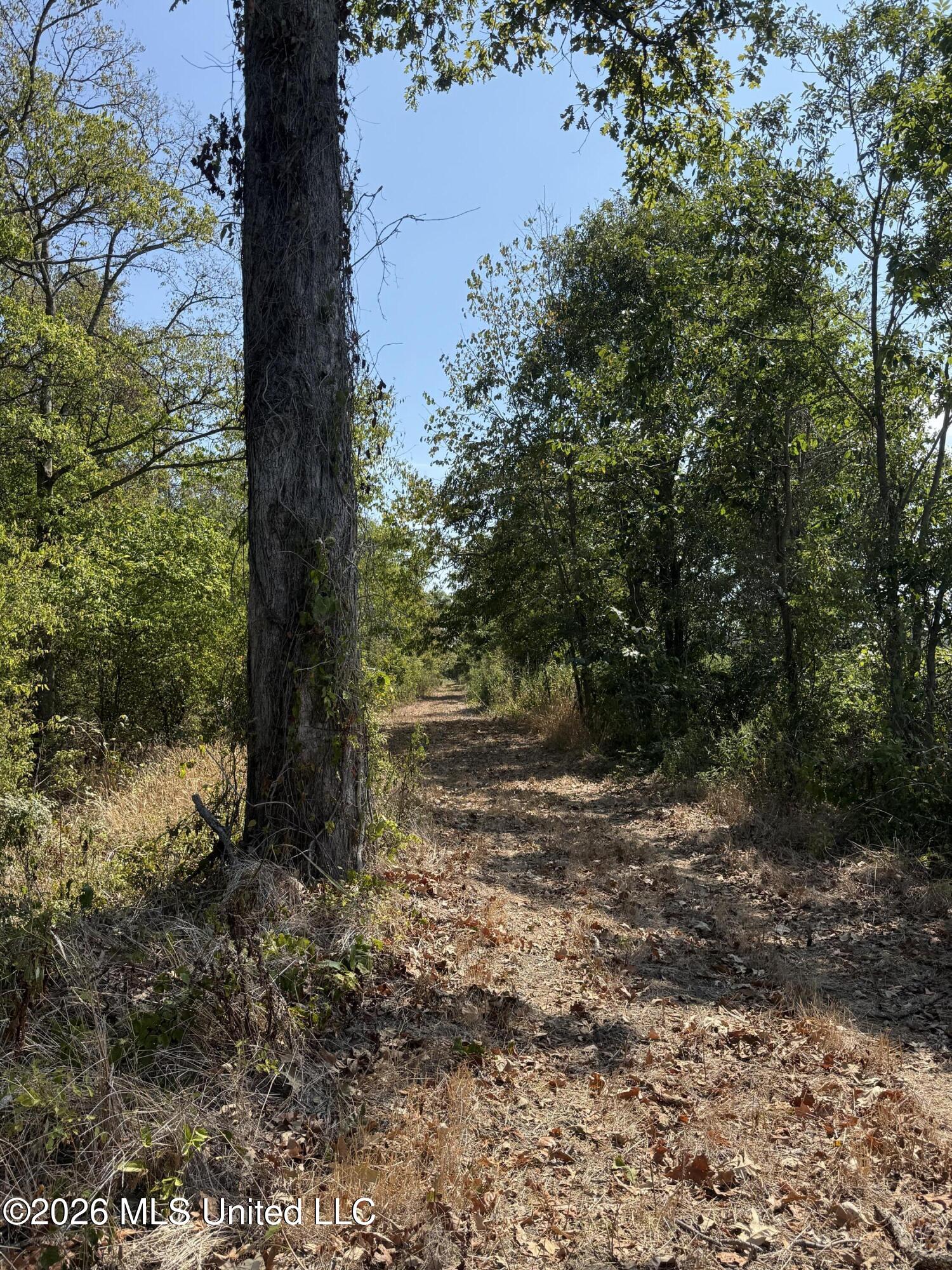 Cr 474 Property Photo 46