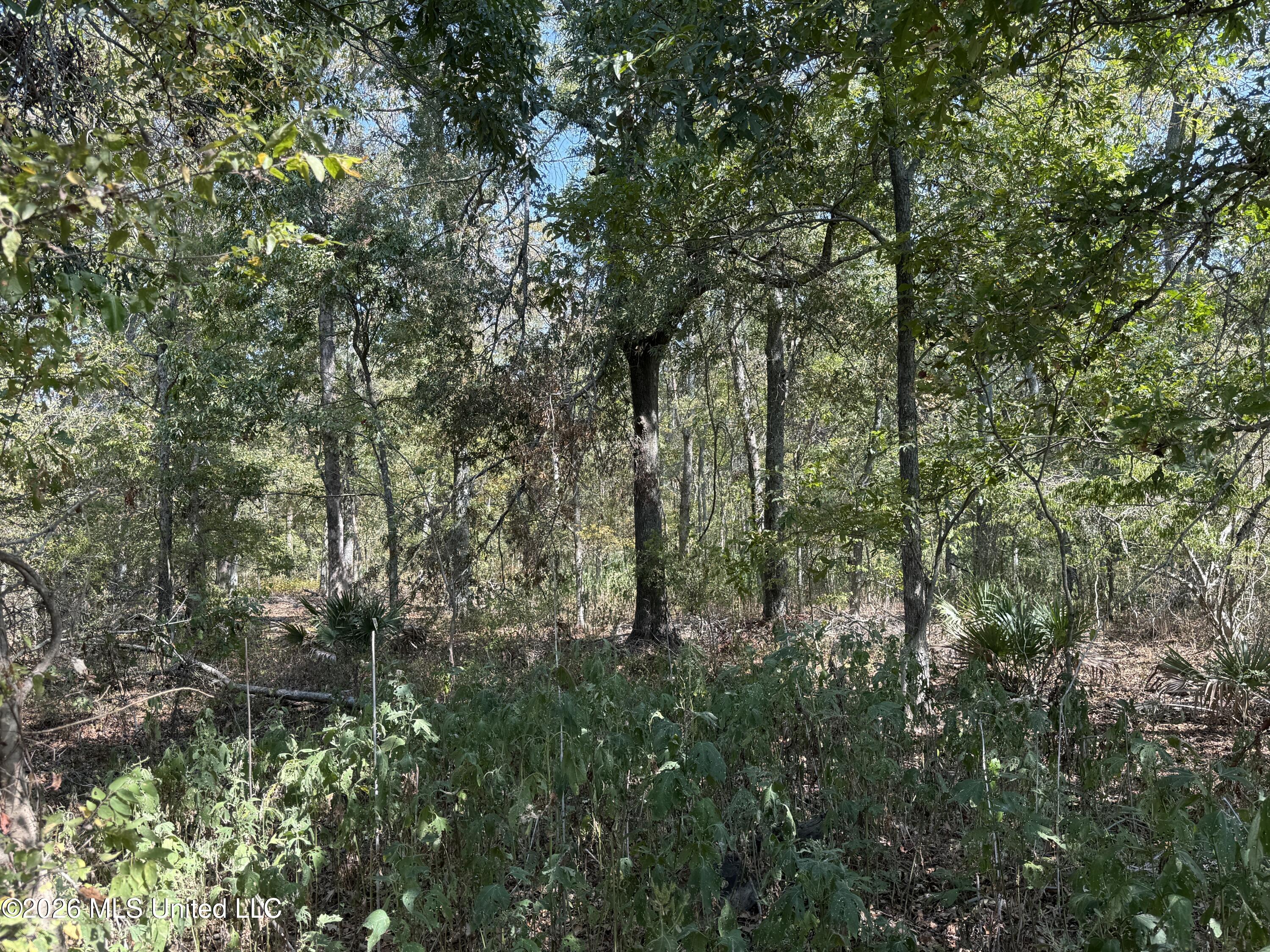 Cr 474 Property Photo 47