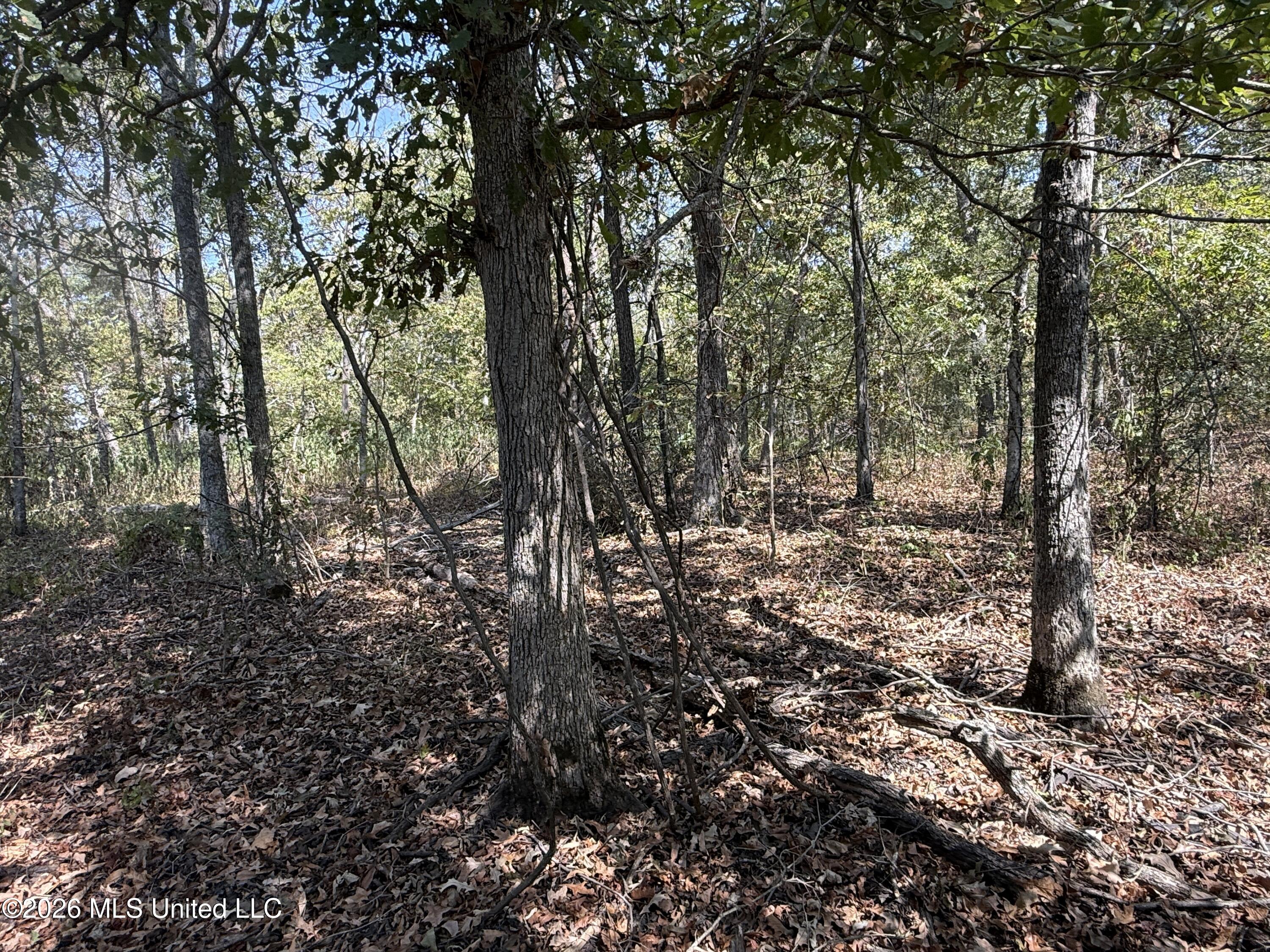 Cr 474 Property Photo 48