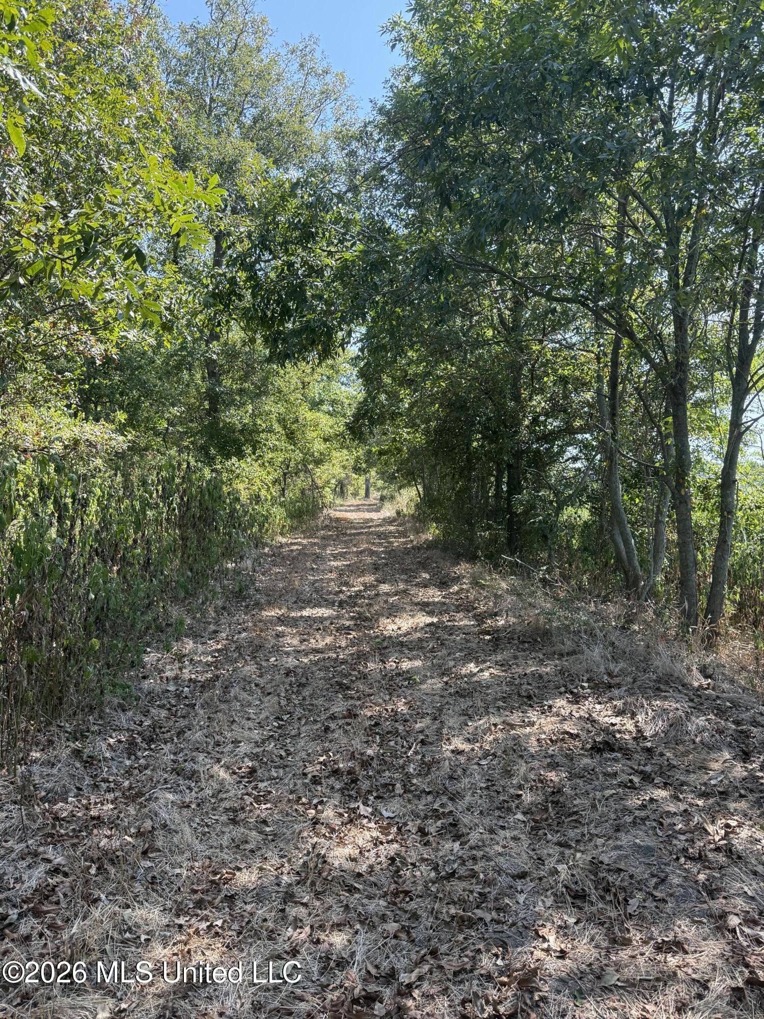 Cr 474 Property Photo 50