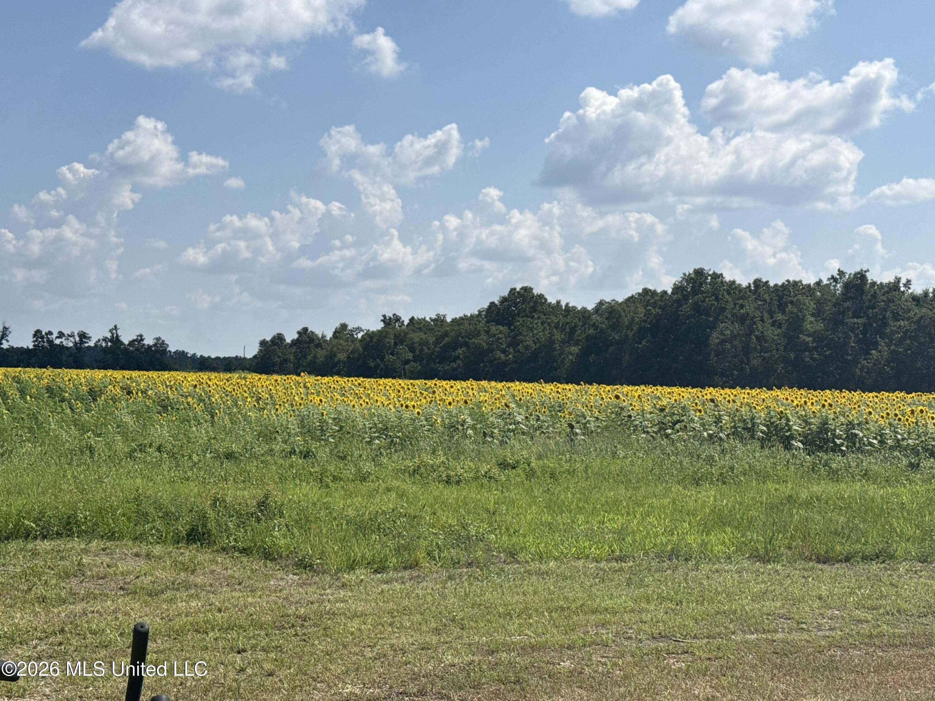 Cr 474 Property Photo 52