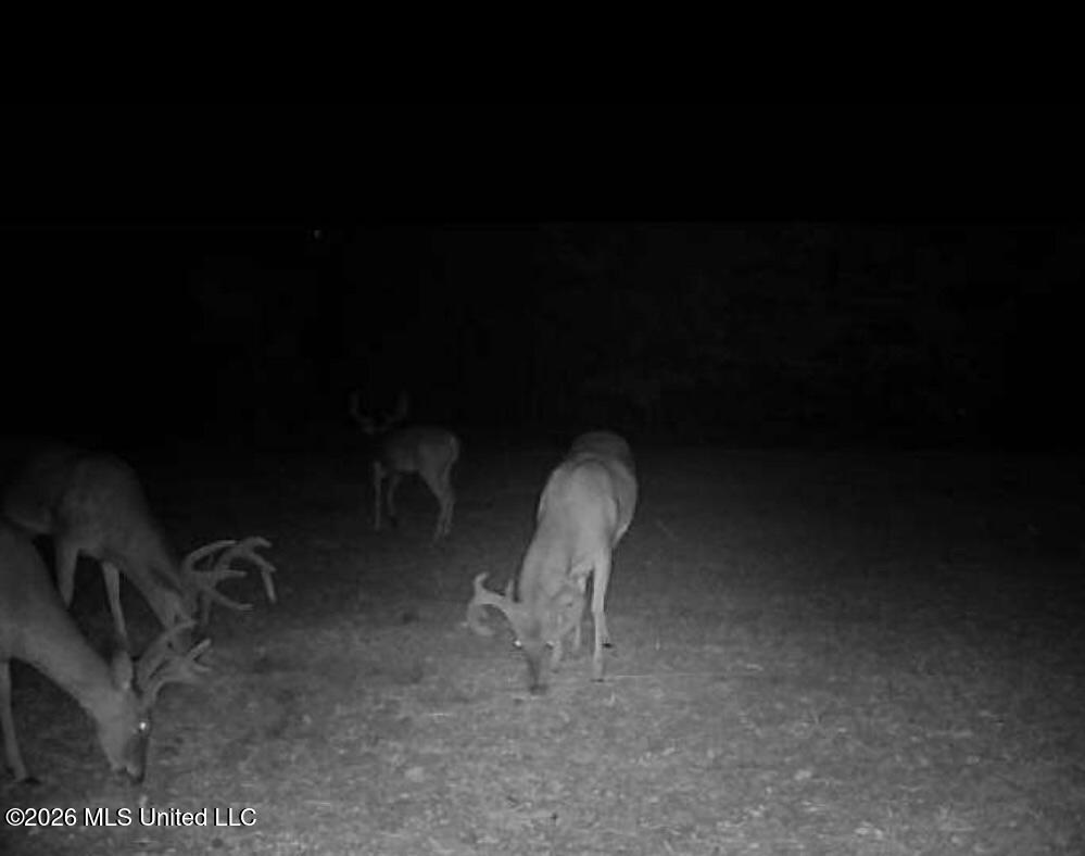 Cr 474 Property Photo 63