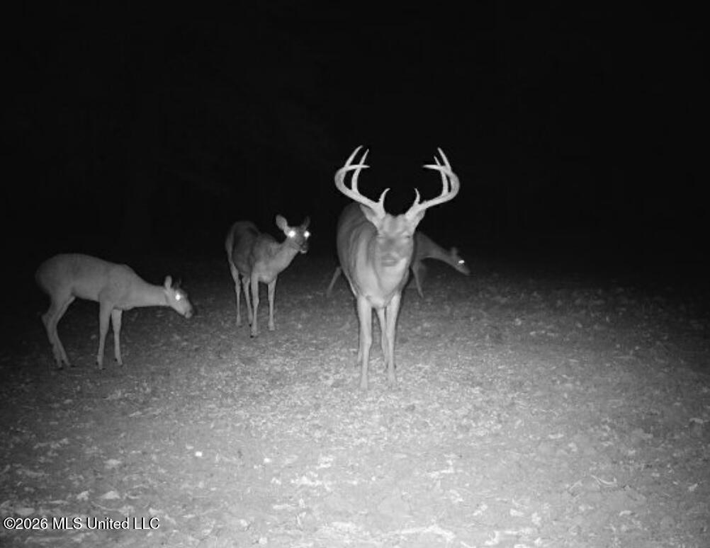 Cr 474 Property Photo 65