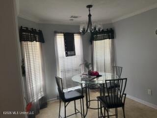 120 Brooklynn Street Property Photo 21