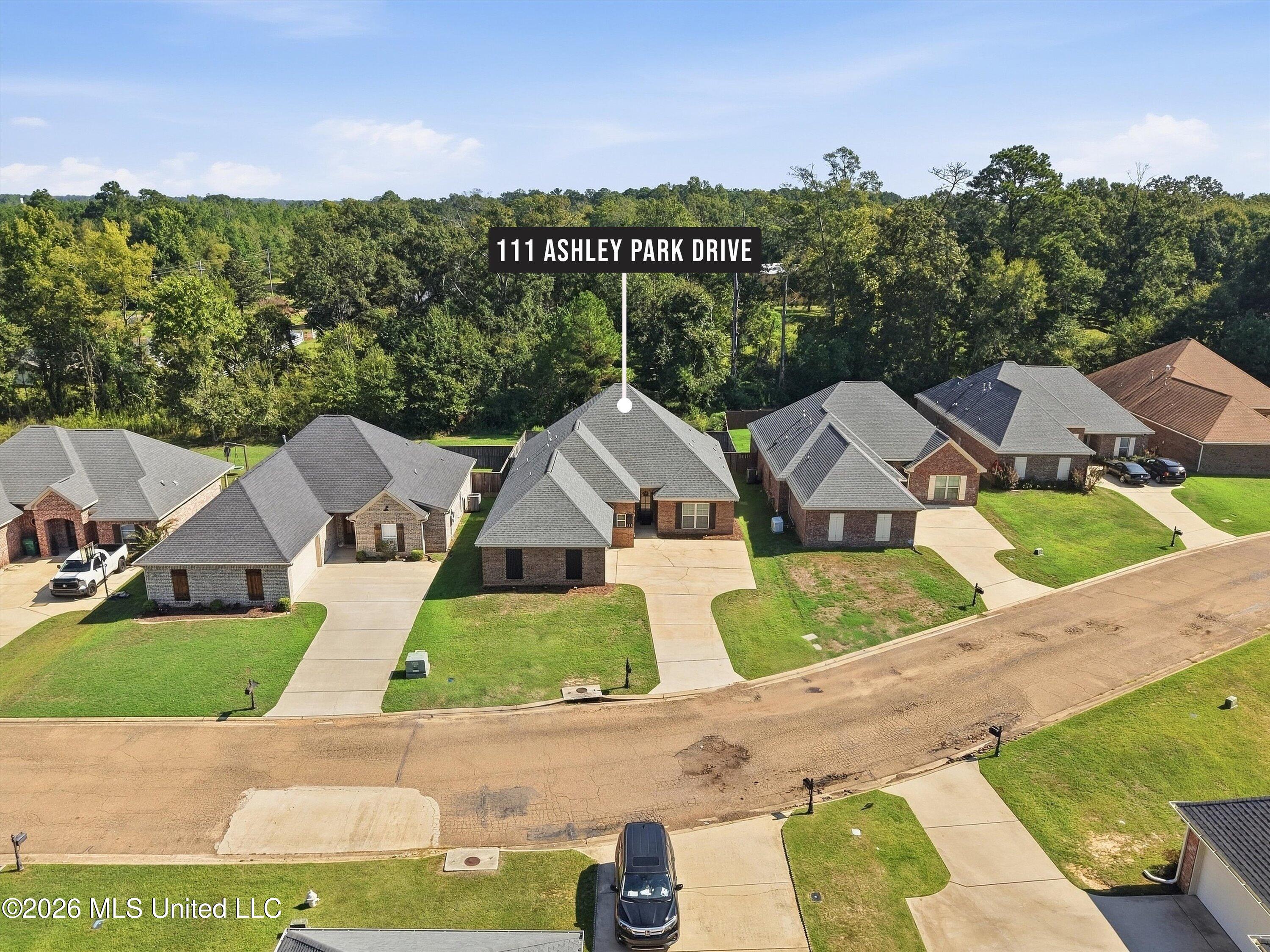 111 Ashley Park Drive Property Photo 43