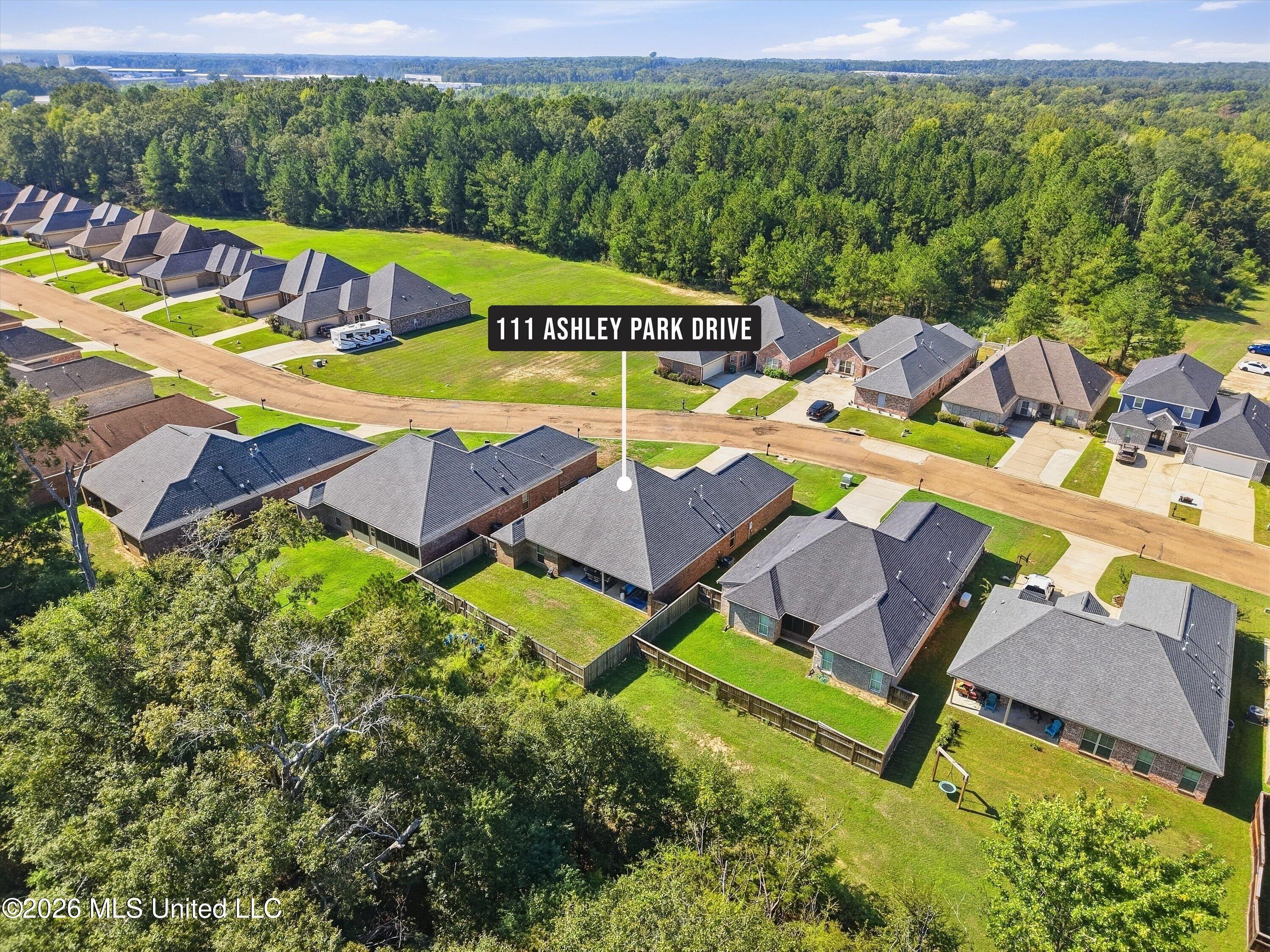 111 Ashley Park Drive Property Photo 44