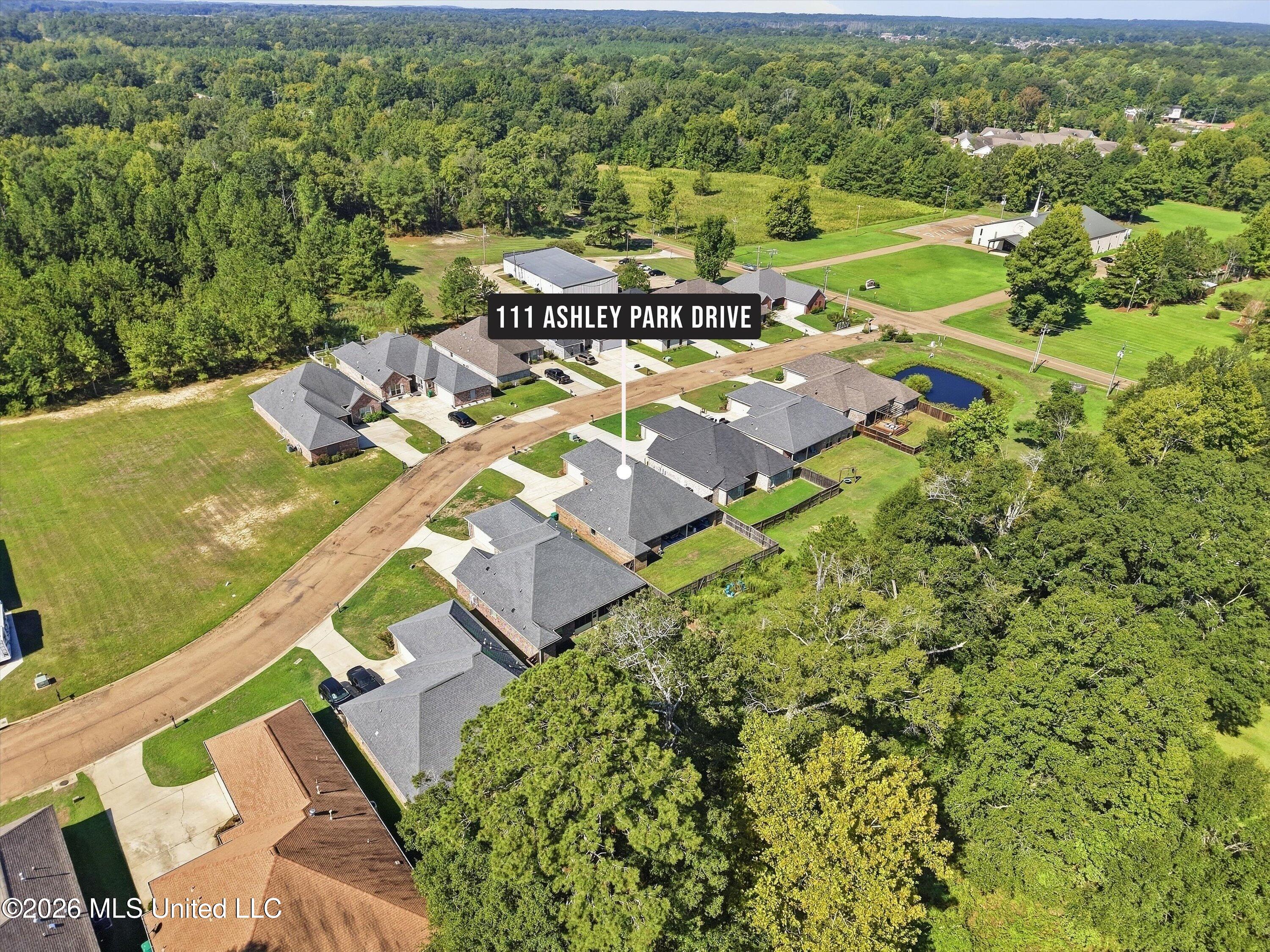 111 Ashley Park Drive Property Photo 45