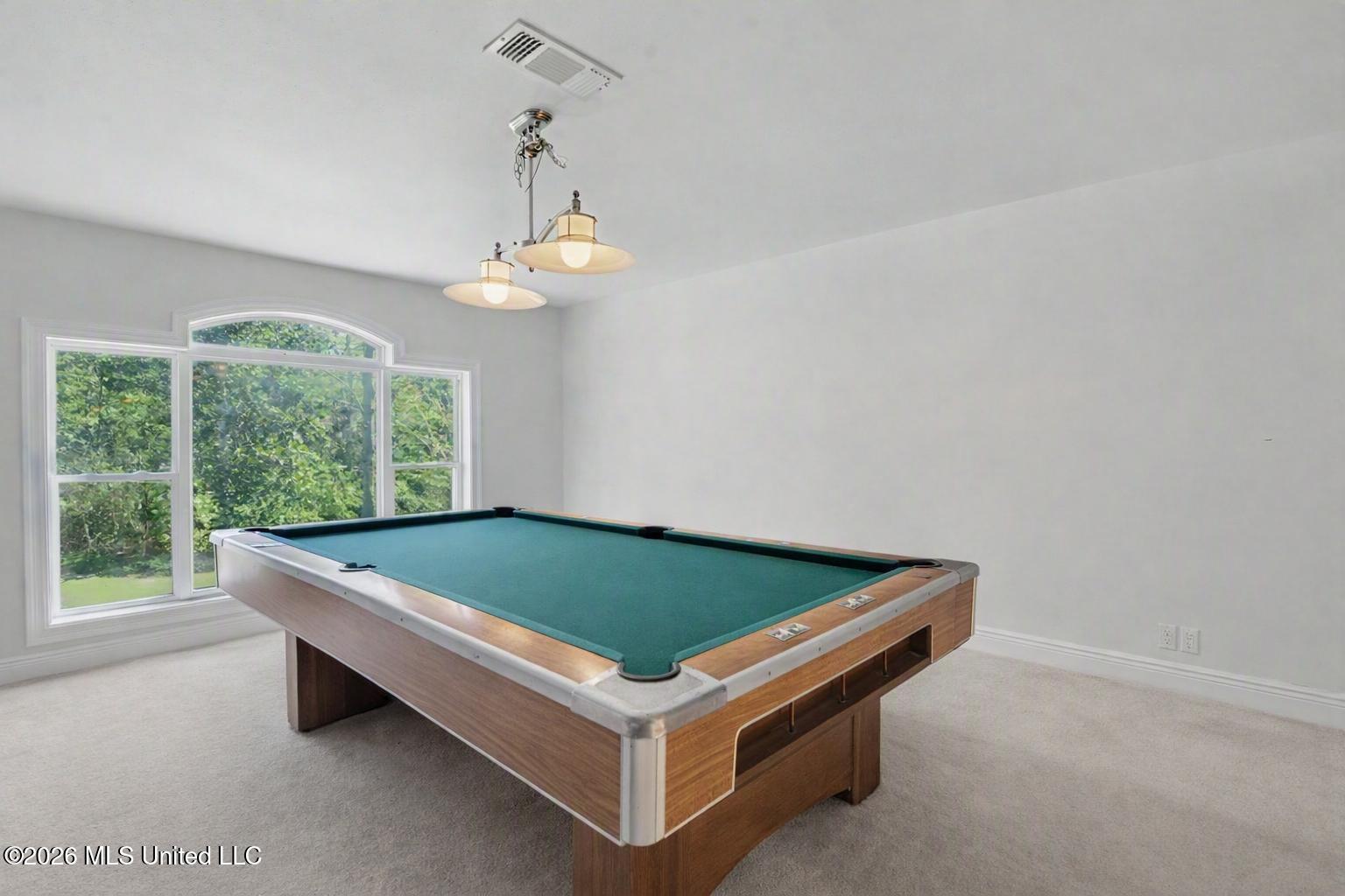 7071 Bayou Talla Lane Property Photo 22