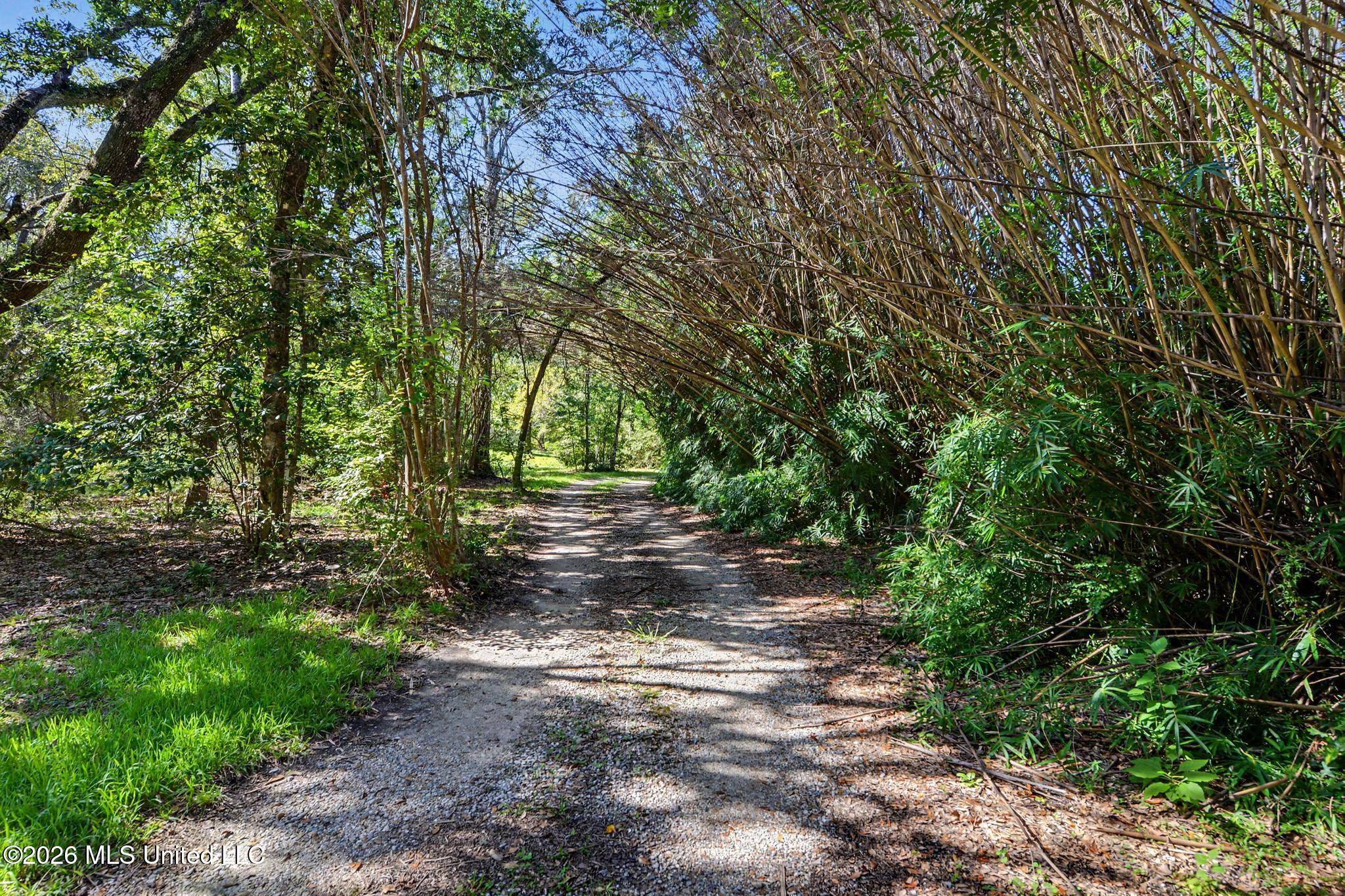 7071 Bayou Talla Lane Property Photo 45