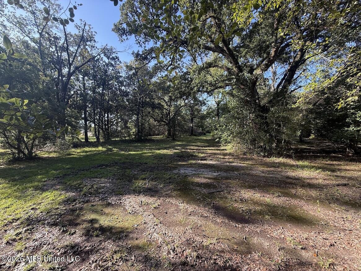 7071 Bayou Talla Lane Property Photo 46