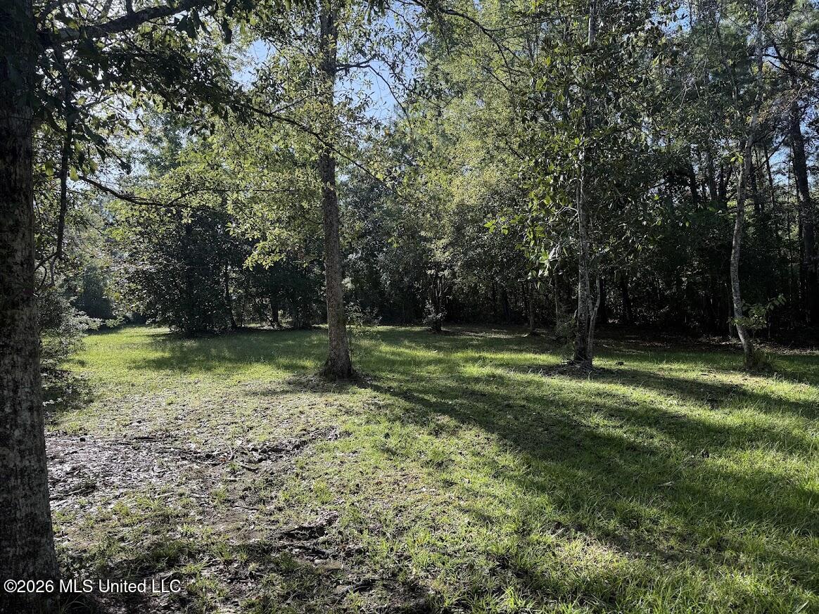 7071 Bayou Talla Lane Property Photo 54