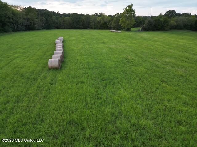 Wildcat Bottom Road Property Photo 2