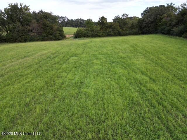 Wildcat Bottom Road Property Photo 3