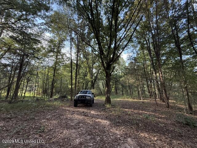 Wildcat Bottom Road Property Photo 5