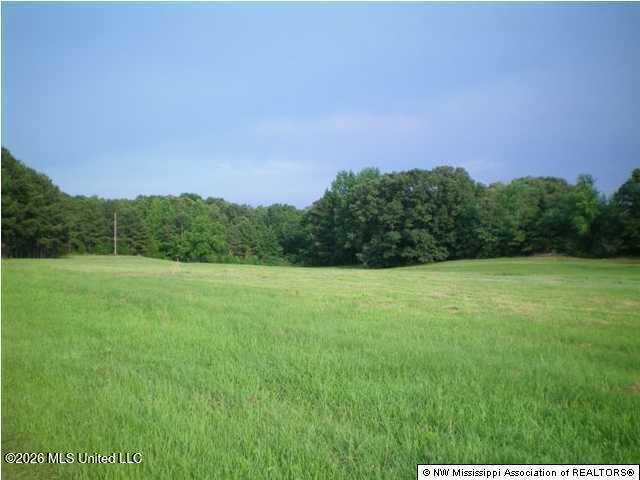 Wildcat Bottom Road Property Photo 6