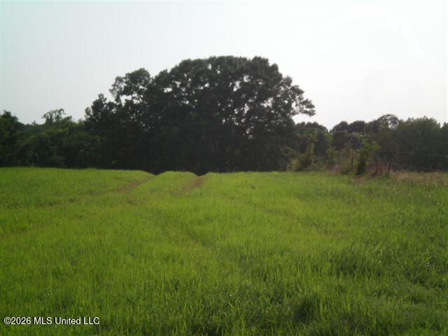 Wildcat Bottom Road Property Photo 8