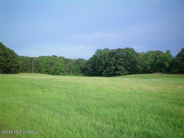 Wildcat Bottom Road Property Photo 9
