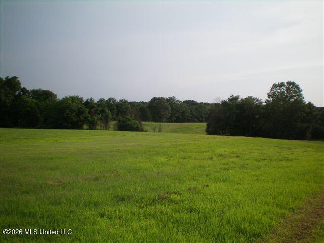 Wildcat Bottom Road Property Photo 10