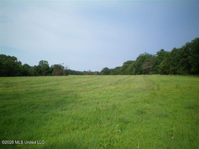 Wildcat Bottom Road Property Photo 11