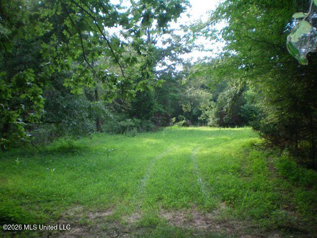 Wildcat Bottom Road Property Photo 12
