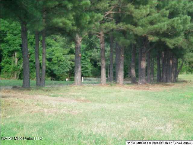 Wildcat Bottom Road Property Photo 13