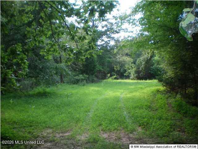 Wildcat Bottom Road Property Photo 14